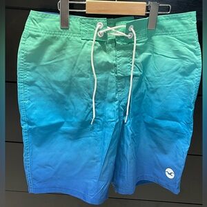 Hollister Oceanic Gradient Men's Swim Shorts 30